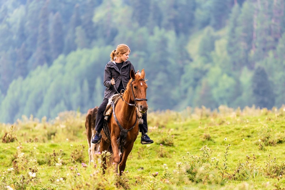 Фото по порядку: конные прогулки на Алтае, в Кабардино-Балкарии и на Домбае